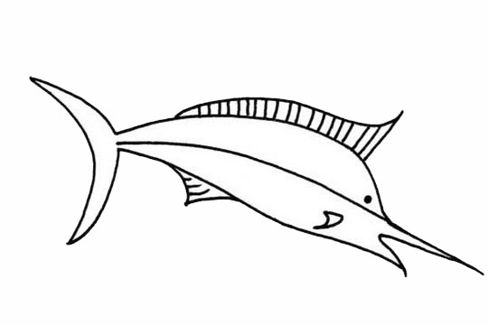 简单的剑鱼怎么画(怎么画剑鱼的简笔画)