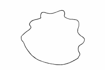 可爱的海参简笔画步骤