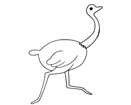 鸵鸟怎么画最简单(鸵鸟怎么画简单又好看视频)