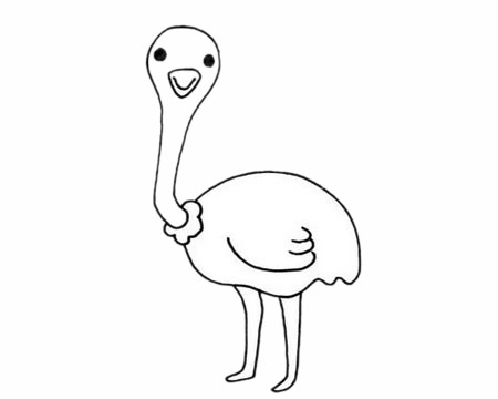 一组关于鸵鸟的简笔画大全(一组关于鸵鸟的简单画法)