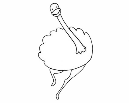 一组关于鸵鸟的简笔画大全