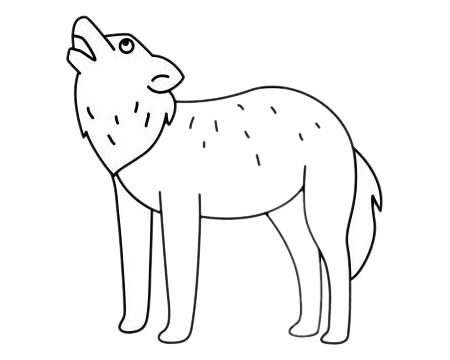 狼怎么画比较简单(大灰狼怎么画比较简单)