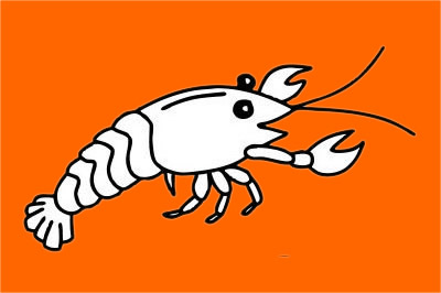 一只小龙虾的简笔画(一只小龙虾的简笔画法)