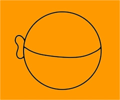 刺豚简笔画步骤