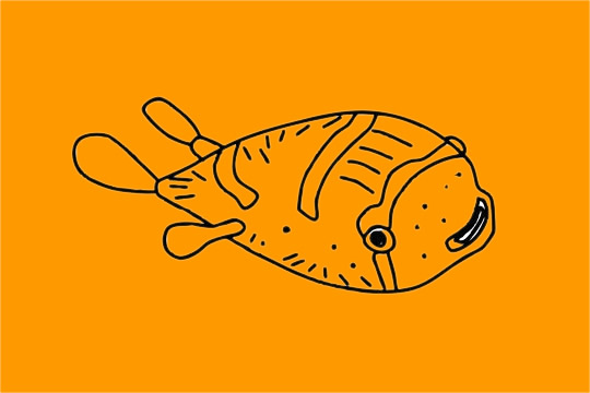 关于刺豚的儿童简笔画(刺豚鱼的绘本故事)