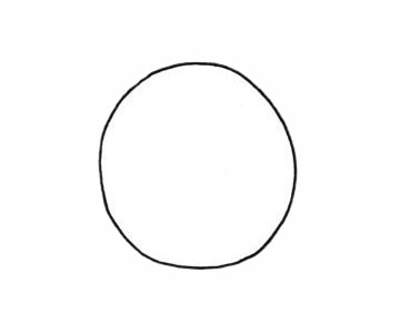 一步步教你画简单的乌龟