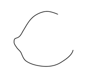 带珍珠的贝壳简笔画步骤