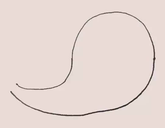 一步步教你画海豹