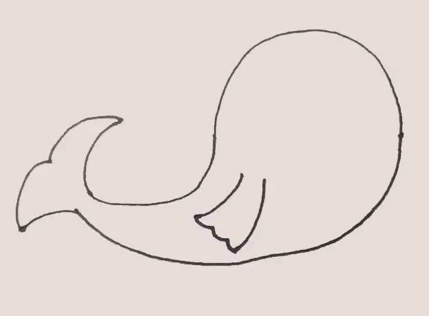 一步步教你画海豹