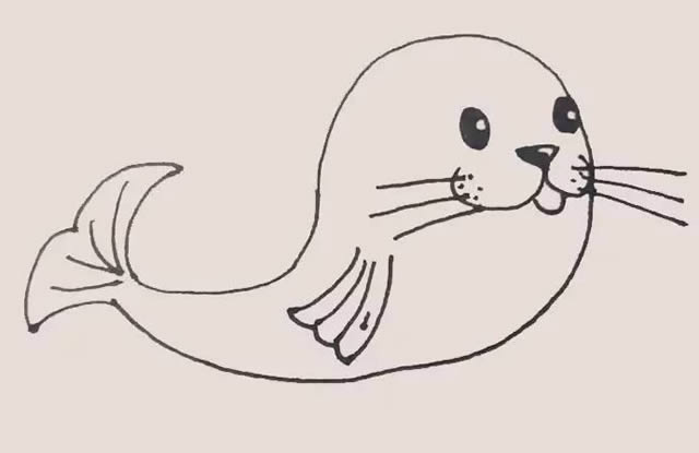 一步步教你画海豹