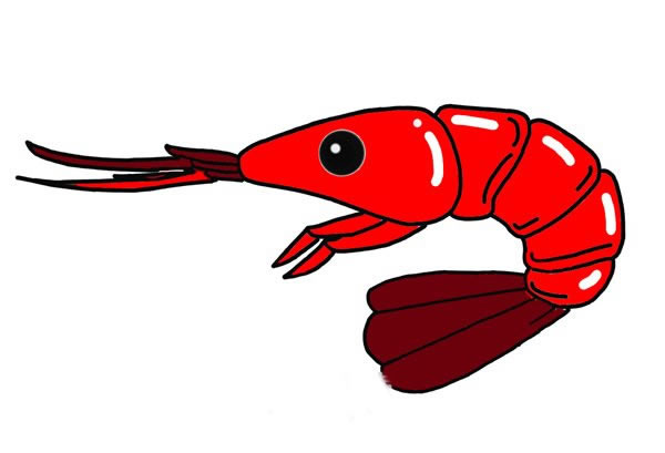 红色大虾简笔画步骤(简笔画大虾的简单画法)