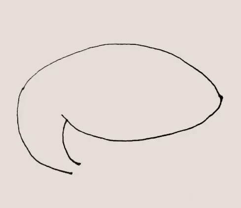 海里的鲨鱼简笔画教程