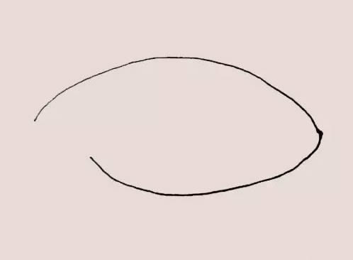 海里的鲨鱼简笔画教程