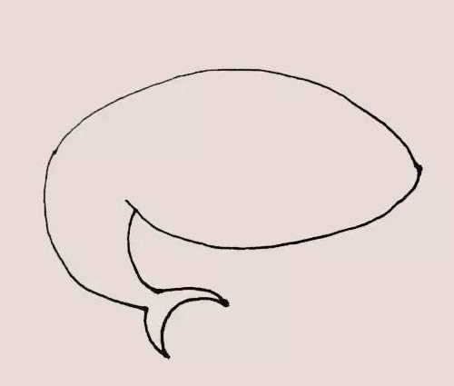 海里的鲨鱼简笔画教程