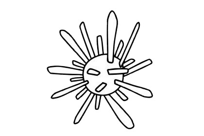 关于海胆的简笔画(海胆简笔画图片大全大图)