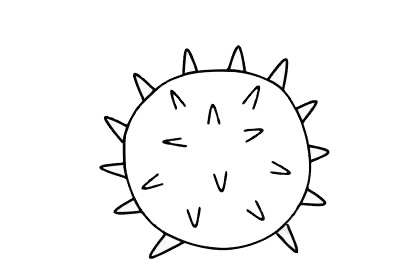 海胆儿童简笔画(海胆绘画)