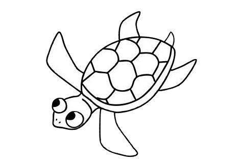 游泳的海龟简笔画(海里游泳的简笔画)