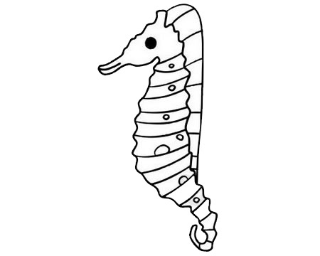 海马的简单画法(海马的简单画法怎么画)