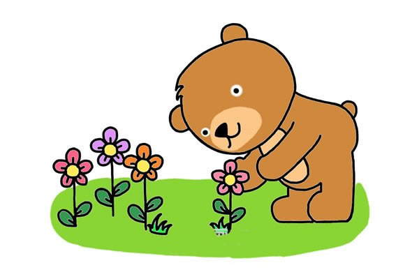 花园里的小熊简笔画教程(简笔画小花园怎么画)