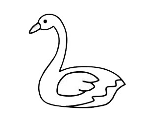 一步步教你画简单的天鹅(画简单又漂亮的画怎么画)