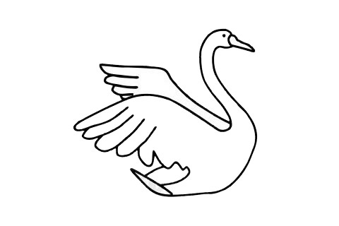 张开翅膀的天鹅简笔画(张开翅膀的天鹅怎么折)