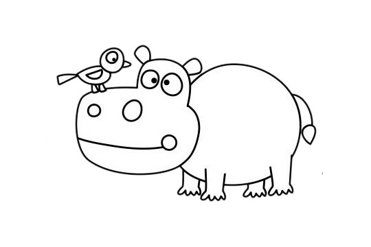 头上站着小鸟的河马简笔画(小鸟站在头上是什么意思)