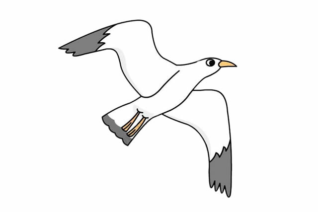 漂亮的海鸥简笔画教程