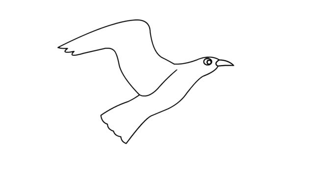 漂亮的海鸥简笔画教程