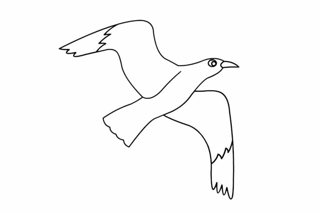漂亮的海鸥简笔画教程