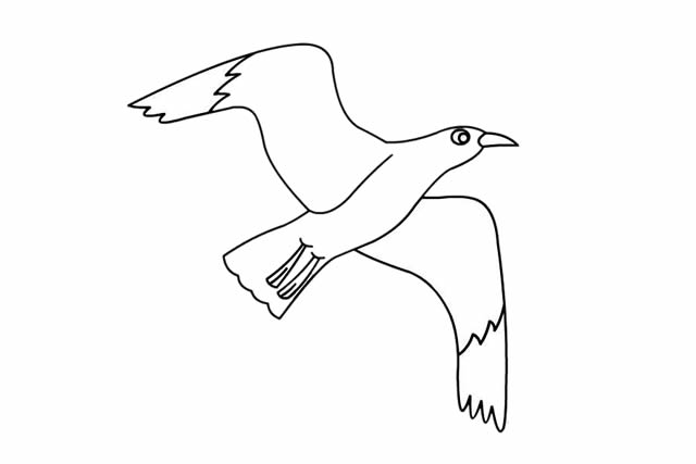 漂亮的海鸥简笔画教程