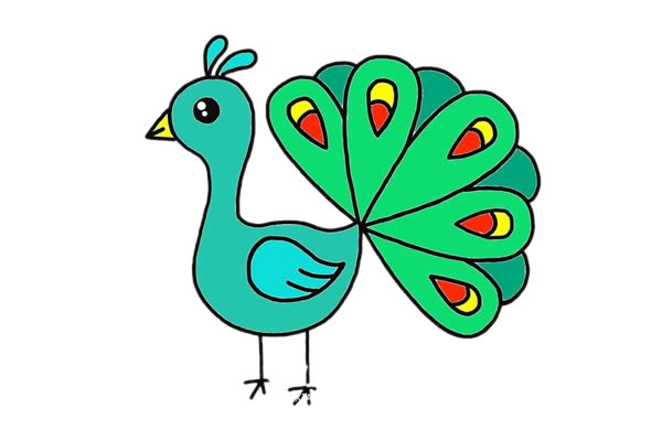 开屏的漂亮孔雀简笔画