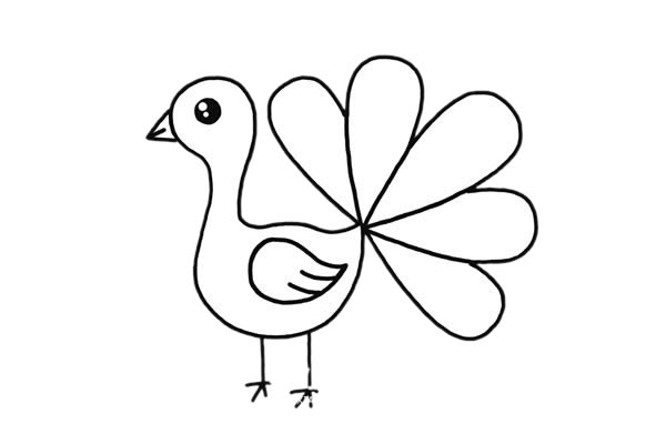 开屏的漂亮孔雀简笔画