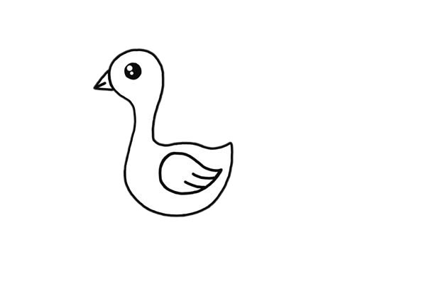 开屏的漂亮孔雀简笔画