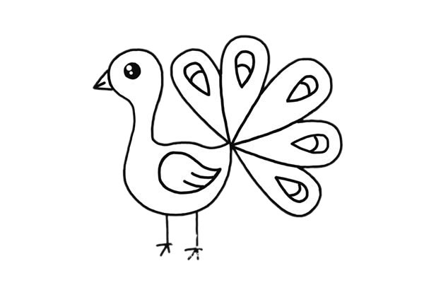 开屏的漂亮孔雀简笔画