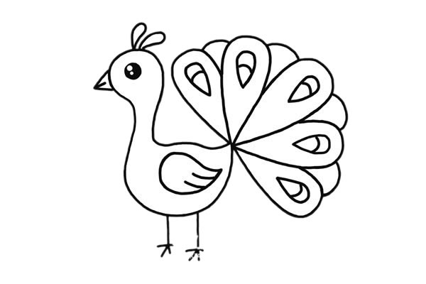 开屏的漂亮孔雀简笔画