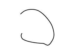 一步步教你画简单的犀牛 一步步教你画简单的犀牛