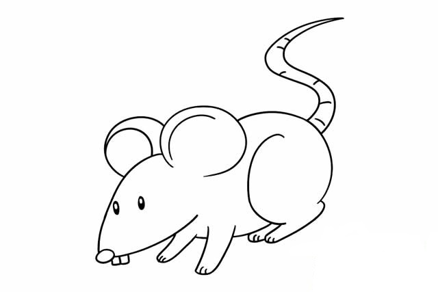 可爱漂亮的小老鼠简笔画 可爱漂亮的小老鼠简笔画