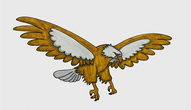 飞翔展翅的老鹰简笔画步骤 飞翔展翅的老鹰简笔画步骤