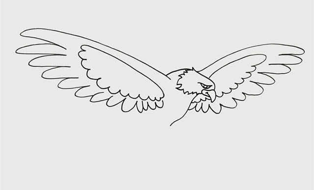 飞翔展翅的老鹰简笔画步骤 飞翔展翅的老鹰简笔画步骤