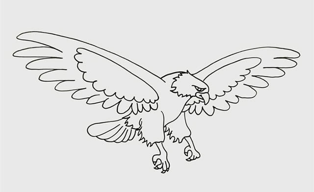 飞翔展翅的老鹰简笔画步骤 飞翔展翅的老鹰简笔画步骤
