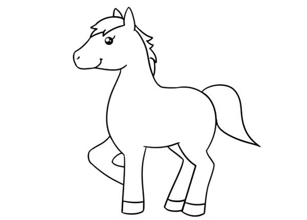 漂亮的小马简笔画步骤