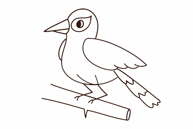 站在树枝上的黄鹂鸟简笔画