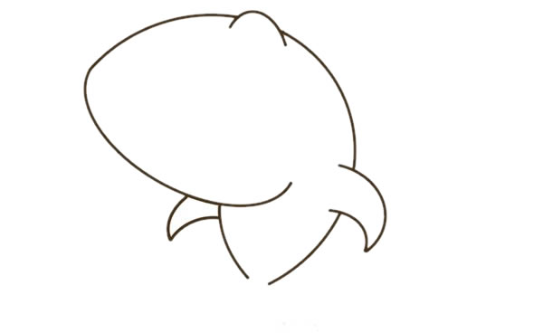 关于鲨鱼的卡通简笔画