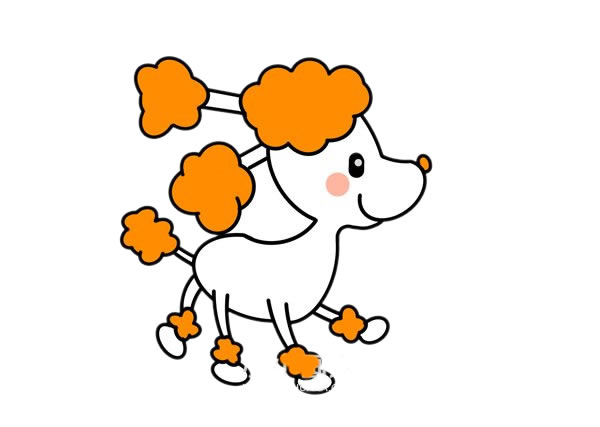 可爱贵妇狗简笔画步骤 可爱贵妇狗简笔画步骤