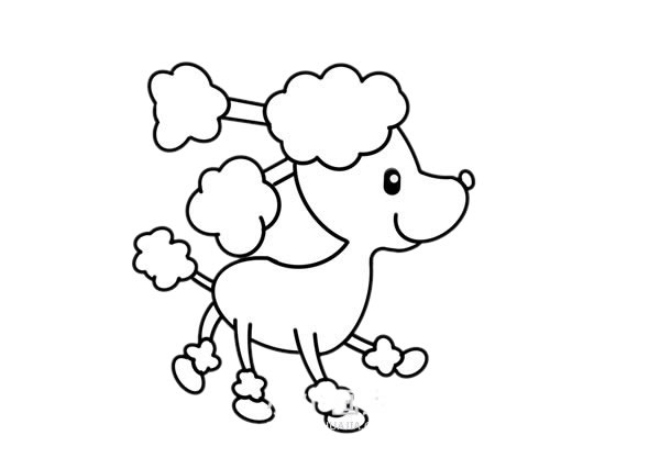 可爱贵妇狗简笔画步骤 可爱贵妇狗简笔画步骤