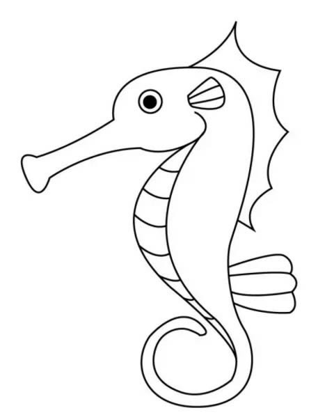 超简单的海马怎么画