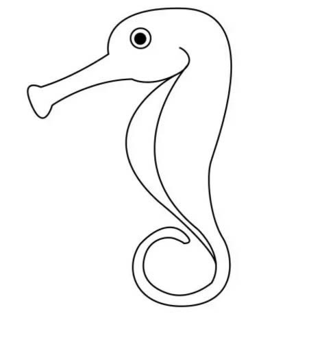 超简单的海马怎么画