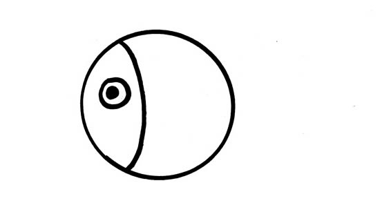 灯笼鱼简笔画步骤 灯笼鱼简笔画步骤