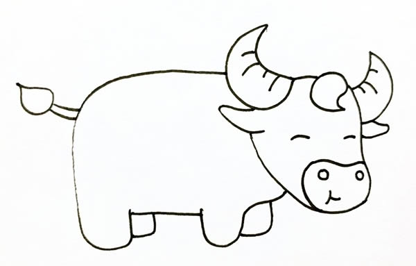 关于老黄牛的简笔画步骤