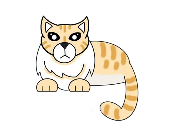 缅甸猫简笔画步骤教程